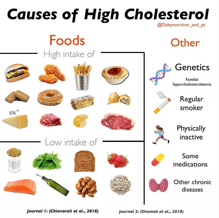 Causes of High Cholesterol - Foods and Other Factors