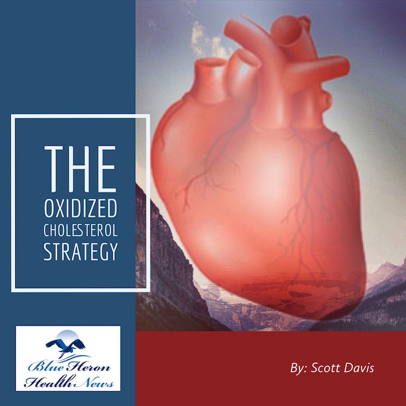 The Oxidized Cholesterol Strategy E-book